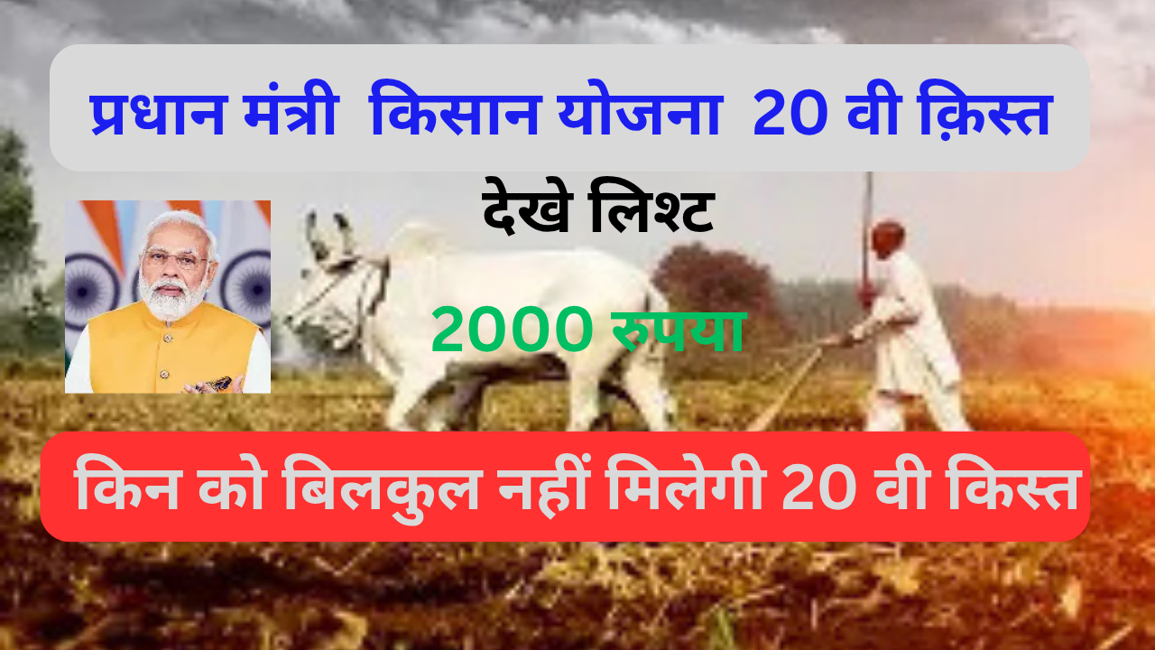 You are currently viewing पीएम किसान सम्मान निधि योजना  2025 की 20वीं किस्त कब आएगी